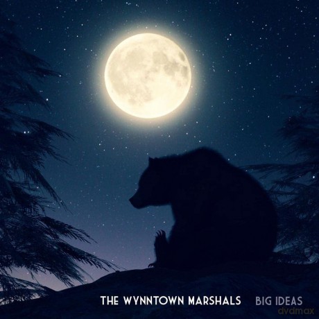 The Wynntown Marshals: Big Ideas [CD]