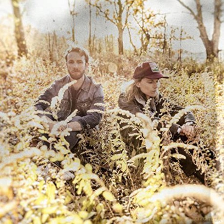Dead Horses: Birds [CD]