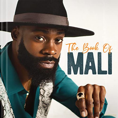 Mali Music: Book Of Mali [CD]