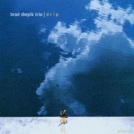 Brad Shepik Trio-Drip [CD]