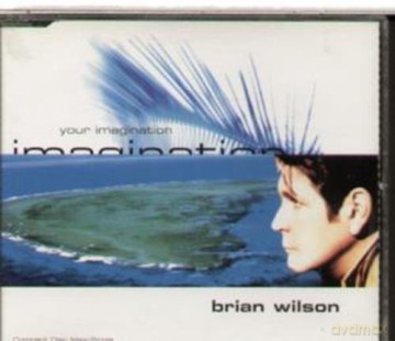 Brian Wilson-Your Imagination [CD]