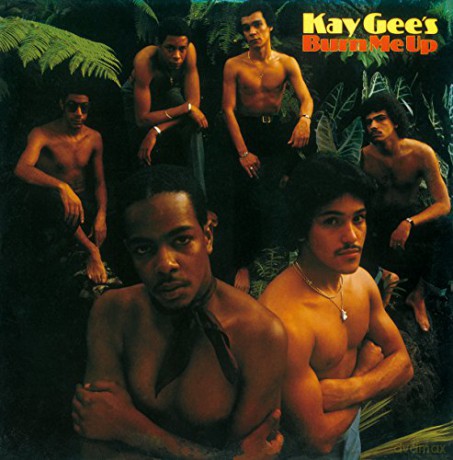 Kaygee'S: Burn Me Up (Limited) [CD]