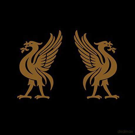 Joey Cape: Cape,Joey-Liverbirds [CD]