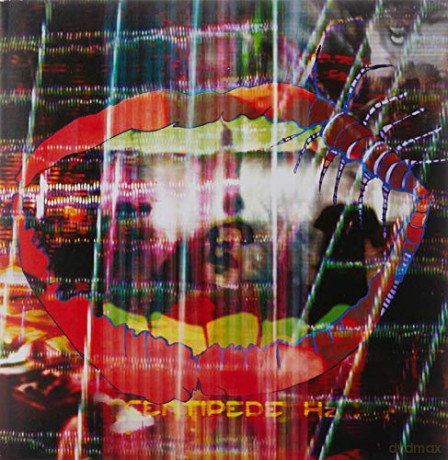 Animal Collective: Centipede Hz [CD]