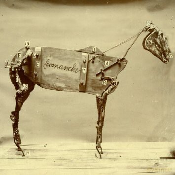 Chadwick Stokes: Chadwick Stokes - The horse machine [CD]