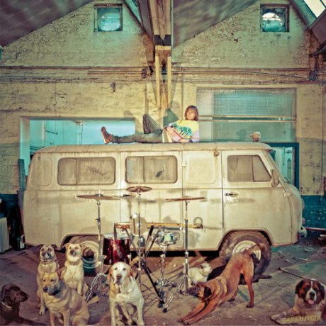Usa: Chien D'La Casse [CD]