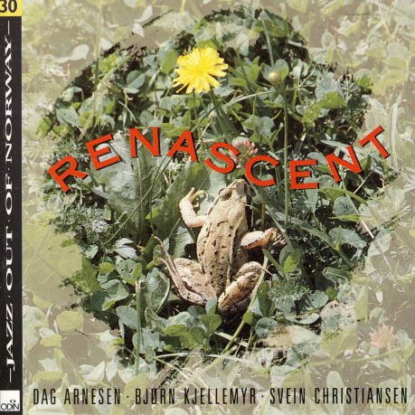 Dag Trio Arnesen: Dag Trio Arnesen - Renascent [CD]