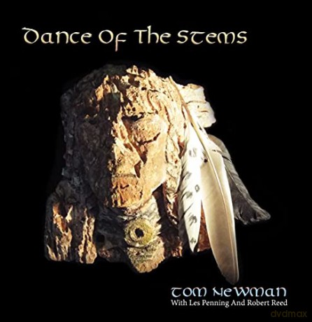 Tom Newman: Dance Of The Stems [CD]