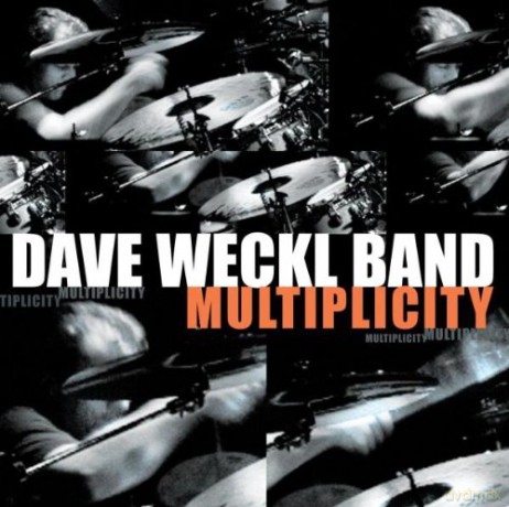Dave Weckl Band-Multiplicity [CD]