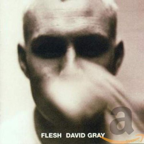 David Gray: David Gray - Flesh [CD]