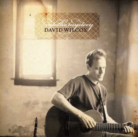 David Wilcox-Into The Mystery [CD]