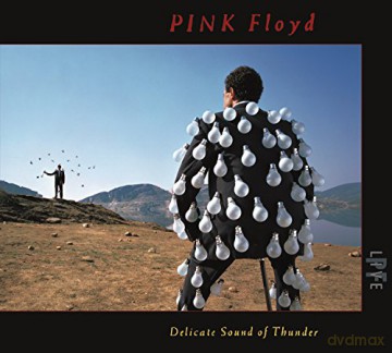 Pink Floyd: Delicate Sound Of Thunder (Live) [2CD]