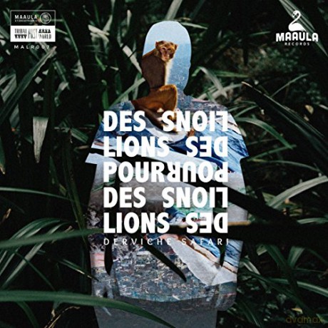Des Lions Pour Les Lions: Derviche Safari [CD]