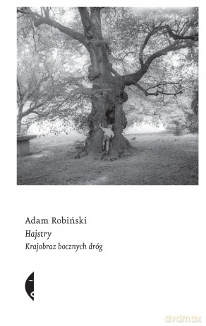 Hajstry. Krajobraz bocznych dróg - Adam Robiński [KSIĄŻKA]