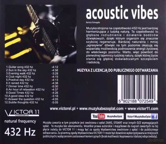 Bartosz Domagała: Acoustic Vibes [CD]