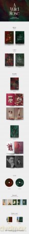 Ryeowook (Super Junior): A Wild Rose [CD]