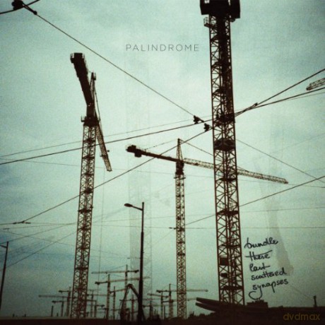 Palindrome: Bundle These Last Scattered Synapses (12'' Vinyl) [Vinyl LP] [CD]