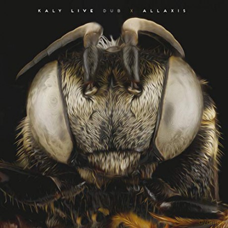 Kaly Live Dub: Allaxis [CD]