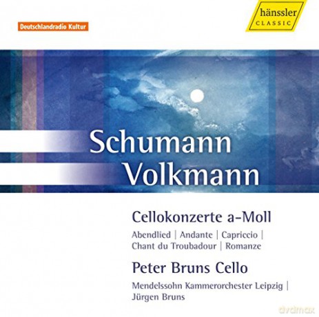 P. Bruns: Cellokonzerte [CD]