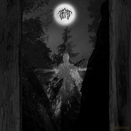 Taatsi: Amidst the Trees [CD]