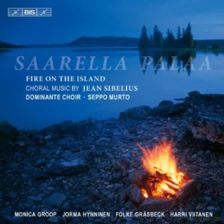 Groop: Saarella Palaa-Feuer auf der Insel [CD]