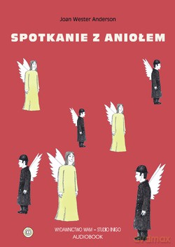 Spotkanie Z Aniołem - Joan Wester Anderson [CD]