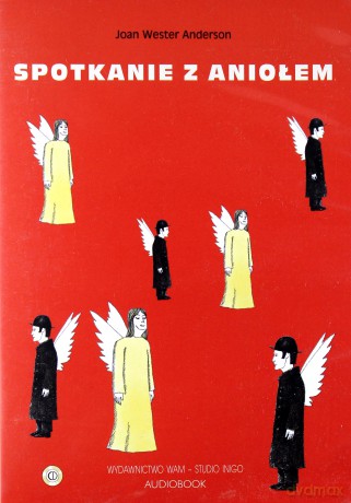 Spotkanie Z Aniołem - Joan Wester Anderson [CD]
