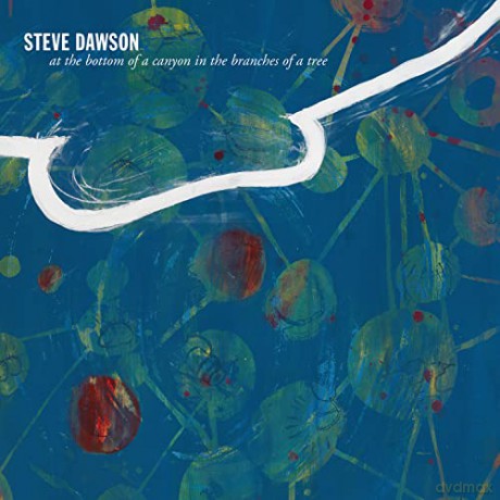 Steve Dawson: At The Bottom Of A Canyon In The Branches Of Tree [CD]