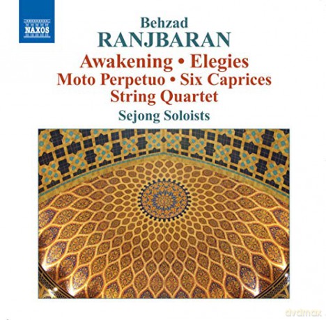 Sejong Soloists: Awakening/Elegies/Moto Perpetuo [CD]