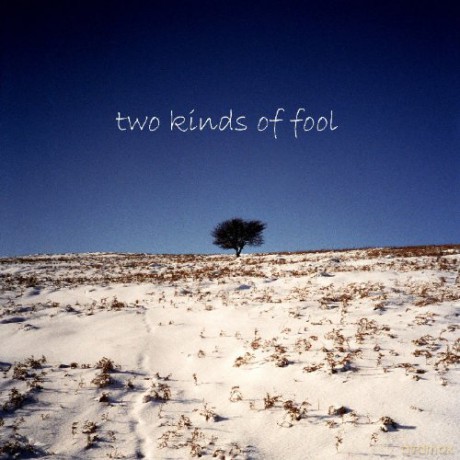 Barty: Two Kinds of Fool [CD]
