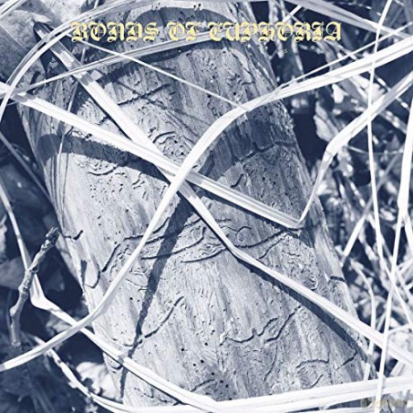 Abest: Bonds Of Euphoria [CD]