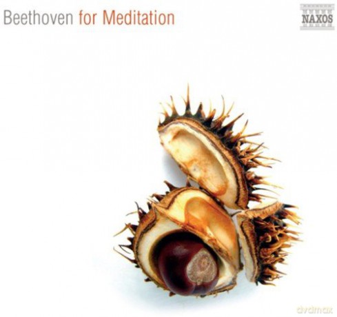 Beethoven for Meditation [CD]