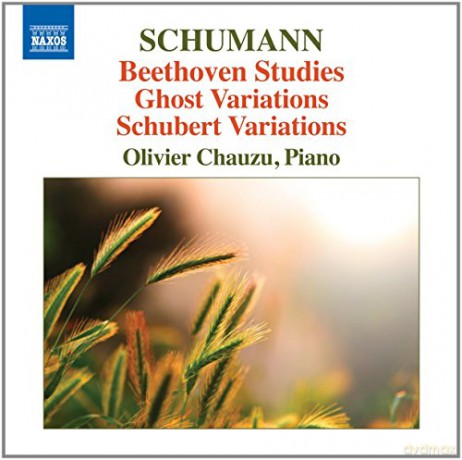 Olivier Chauzu: Beethoven-Etüden/Geistervariationen/+ [CD]