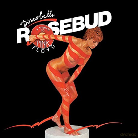 Rosebud: Discoballs: A Tribute to Pink Floyd [CD]