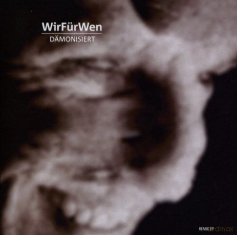 wirfürwen: Dämonisiert [CD]