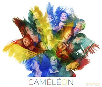 Thierry Maillard Ensemble: Cameleon [CD]