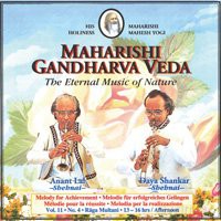 Raga Multani (Melodie für Erfolgreiches Gelingen, 13-16 Uhr) [CD]