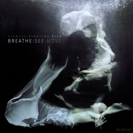 Siamese Fighting Fish: Breathe See Move [CD]