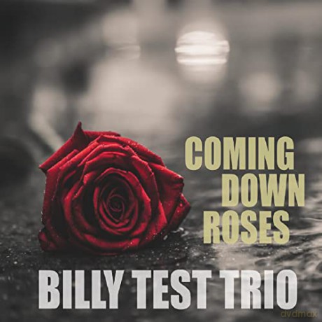Billy Test Trio: Coming Down Roses [CD]