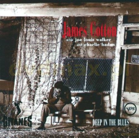 Cotton James: Deep In The Blues [CD]