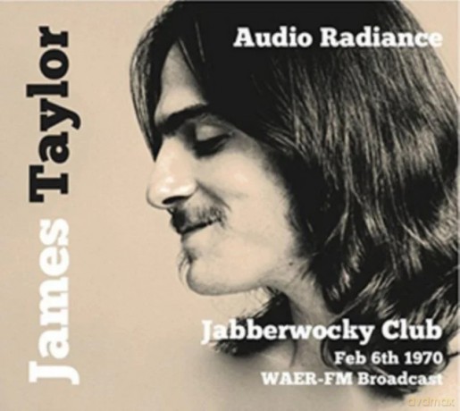 James Taylor: Audio Radiance [CD]