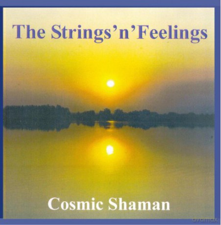 The Strings'n'Feelings (Wilfried Eiring): Cosmic Trilogie Vol.1 - Cosmic Shaman [CD]