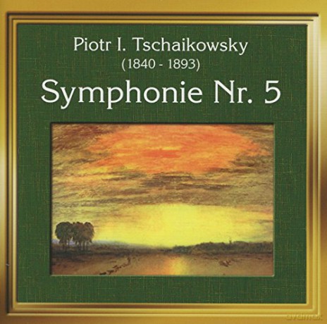 P.I. Tchaikovsky: Tschaikowski/Sinfonie 5 [CD]