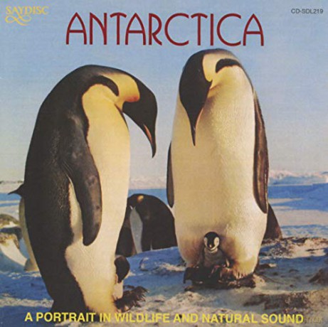 Antarctica [CD]