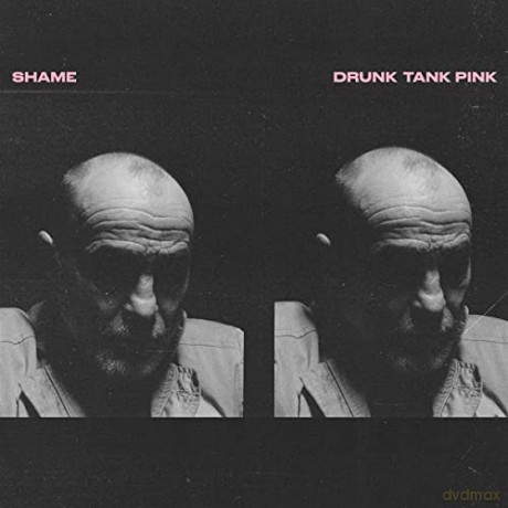 Shame: Drunk Tank Pink (exklusiv bei Amazon.de) [CD]