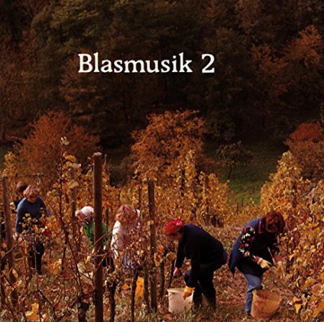Vaclac Maly-Karel: Blasmusik 2 [CD]