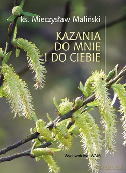 Kazania Do Mnie I Do Ciebie - ks. Mieczysław Maliński [KSIĄŻKA]