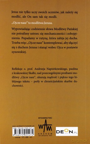 Ojcze Nasz. Medytacje z Jezusem [KSIĄŻKA]
