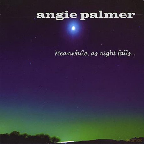 Angie Palmer: Meanwhile, As Night Falls [CD]