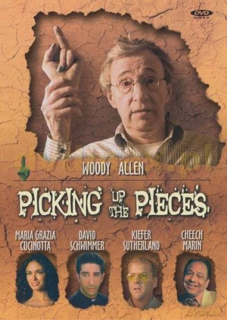 Dar z nieba (Picking Up The Pieces) [DVD]